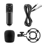STEREN-Microfono-profesional-de-condensador-con-filtro-y-suspension-420-8154