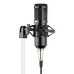 STEREN-Microfono-profesional-de-condensador-con-filtro-y-suspension-420-8154